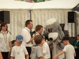 Schützenfest 2011